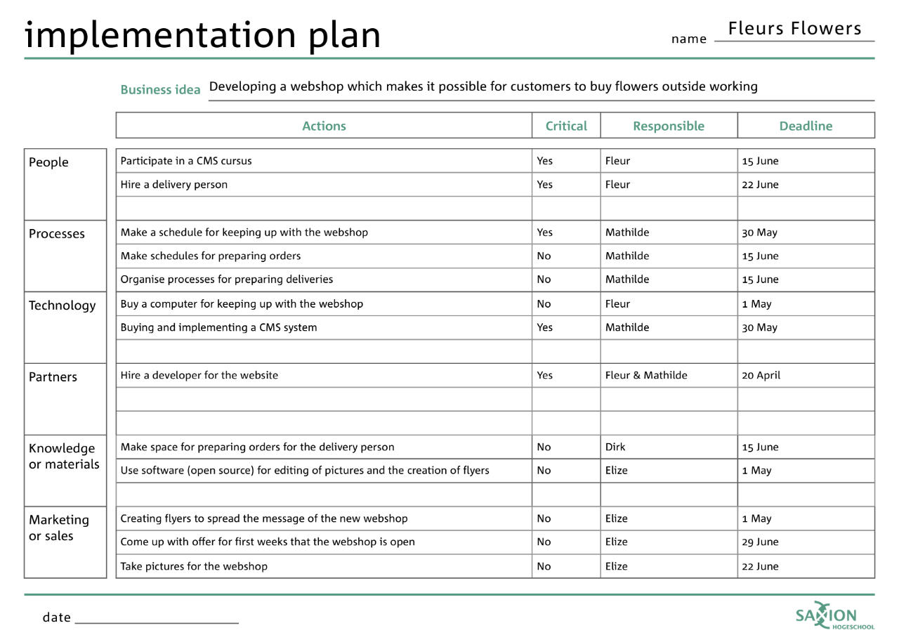 implementation plan within a business